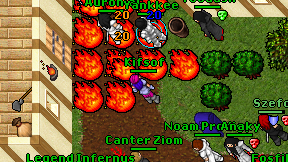 Kifsof on screen
