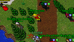 Mekosun on screen