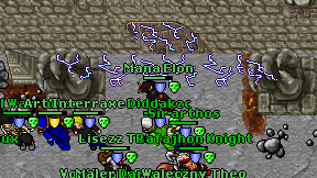 Mana Elon on screen