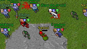 Selloi on screen