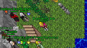 Kazimierka on screen