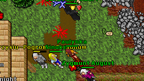 Paulynka on screen