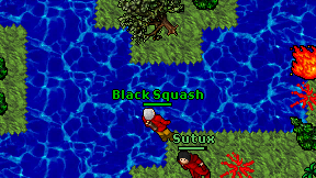Black Squash on screen