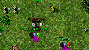Pumbito on screen