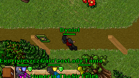 Dyniol on screen