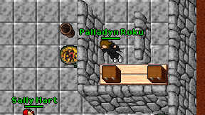 Palladyn Roku on screen