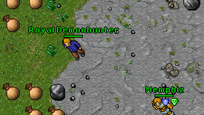 Royal Demonhunter on screen