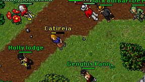 Catireia on screen