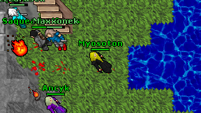 Myosoton on screen
