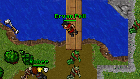 Ervan Fell on screen