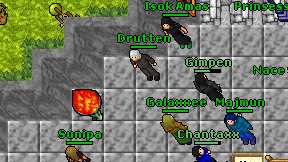 Drutten on screen