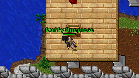 Ruffy Onepiece on screen