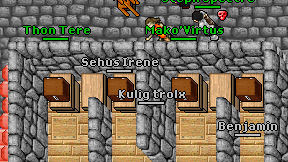 Sehus Irene on screen