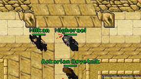 Nighorael on screen