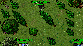 Serafaino on screen