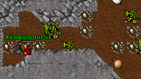 Kramulo durus on screen