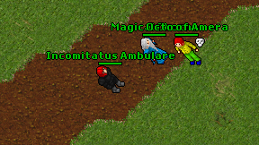 Incomitatus Ambulare on screen