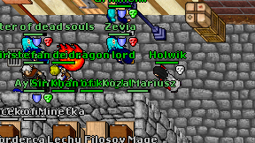 Holwik on screen