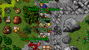 Foxdis on screen