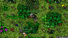 Anthres on screen
