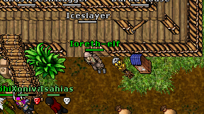 Ioreth-elf on screen
