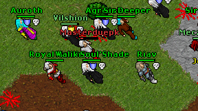 Nepax on screen