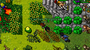 Carlus Magnus on screen