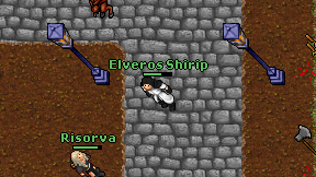 Elveros Shirip on screen