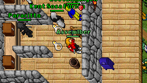 Assemlber on screen
