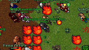 Dragon Reproductor on screen
