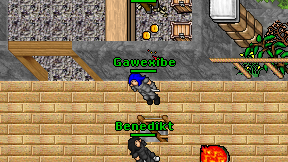 Gawexibe on screen