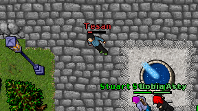 Tesan on screen