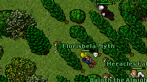 Florisbela'Myth on screen