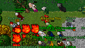 Zielony Mis on screen