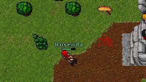 Rosenda on screen