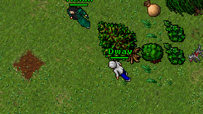 Dwav on screen