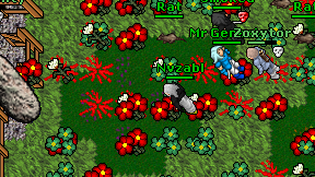 Nvzabl on screen