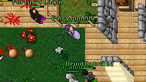 Fairy donella on screen