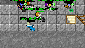 Druid-Duo on screen