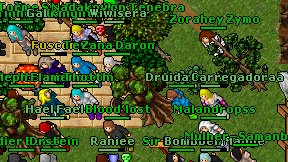 Wiwisera on screen