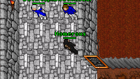 Homeroxs on screen