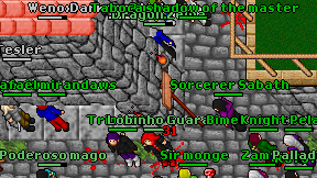 Dragon Zelda on screen