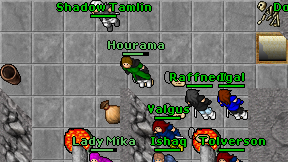 Liraren on screen