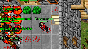 Hosemam on screen