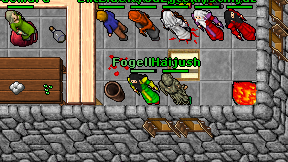 Fogelholk on screen
