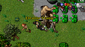 Eleanor Stang on screen