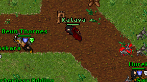 Katava on screen