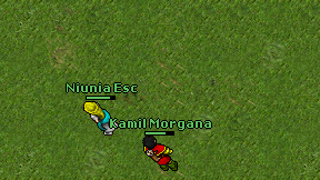 Kamil Morgana on screen