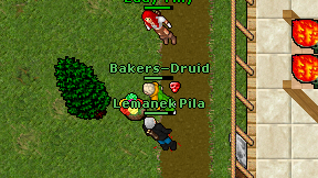 Bakers-Druid on screen