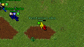 Ventania Loko on screen